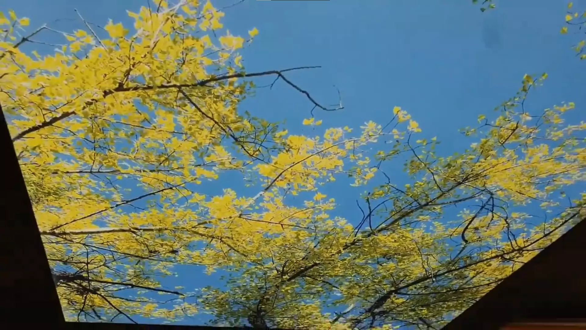 Муром, , фото 2